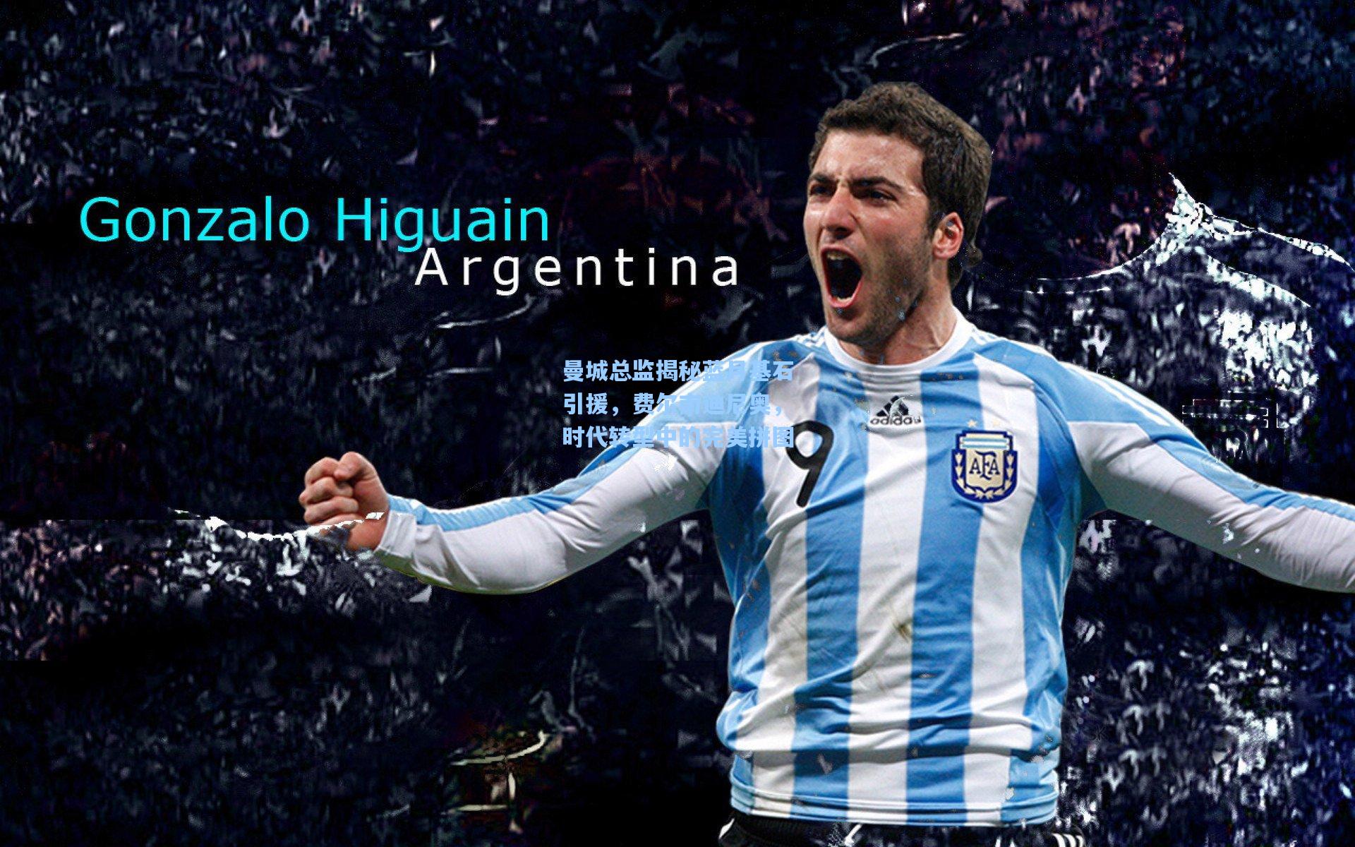 28圈中国官网_曼城总监揭秘蓝月基石引援，费尔南迪尼奥，时代转型中的完美拼图